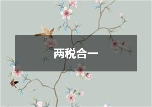 两税合一