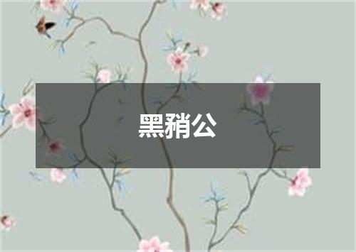 黑矟公
