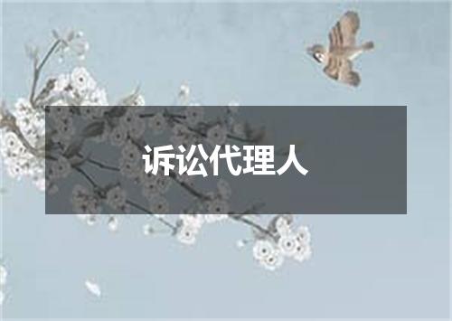 诉讼代理人