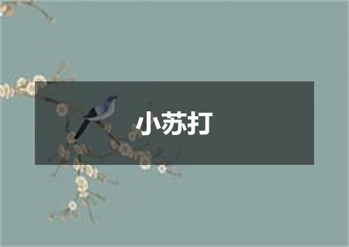 小苏打