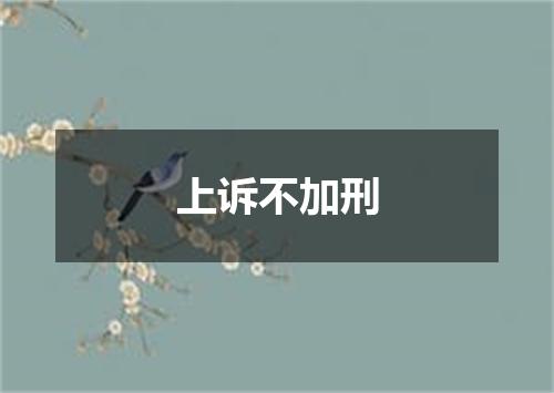 上诉不加刑
