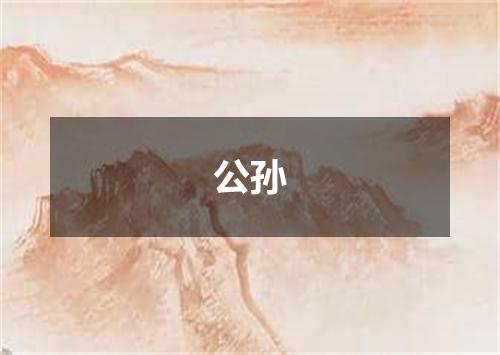 公孙