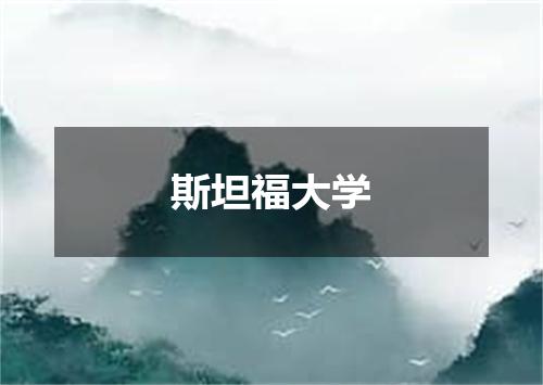 斯坦福大学