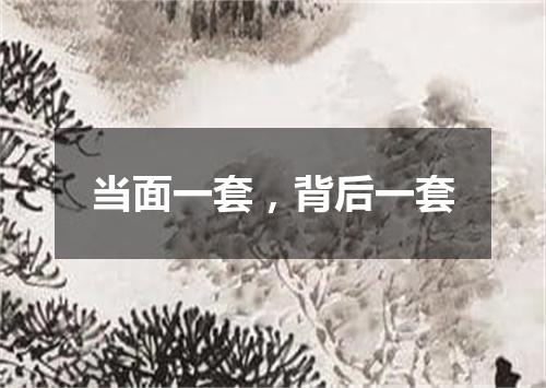 当面一套，背后一套