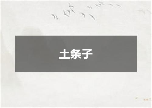 土条子