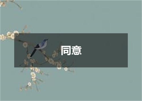 同意