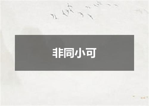 非同小可