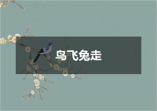 鸟飞兔走