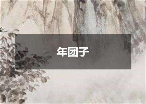 年团子
