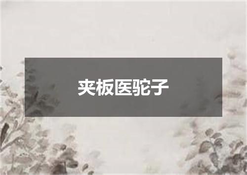 夹板医驼子