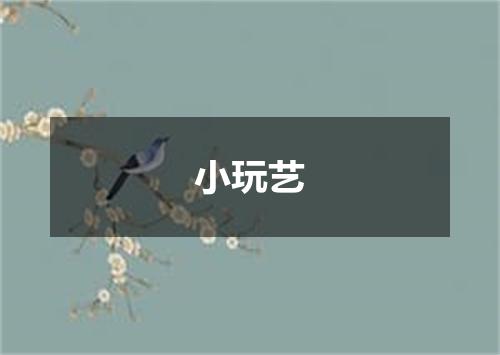 小玩艺