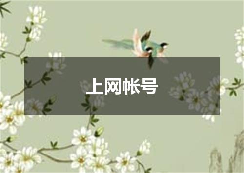 上网帐号