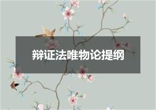 辩证法唯物论提纲
