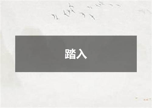 踏入
