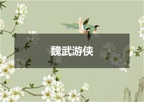 魏武游侠