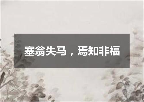 塞翁失马，焉知非福