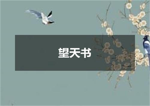 望天书
