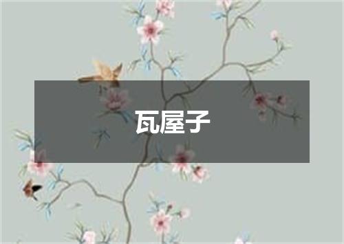瓦屋子