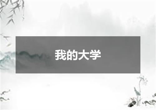 我的大学