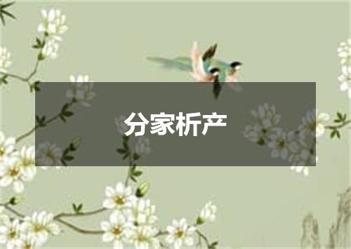 分家析产