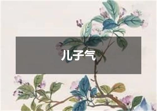 儿子气