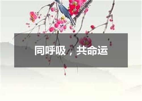 同呼吸，共命运