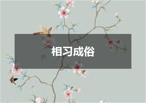 相习成俗