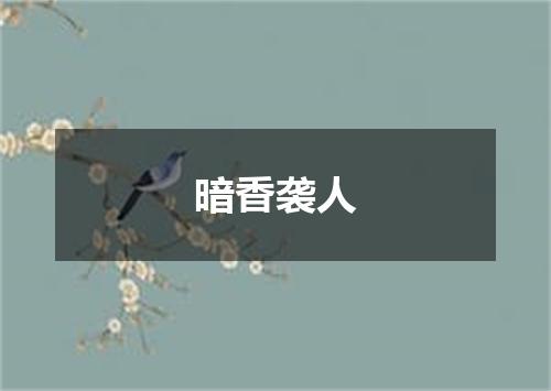 暗香袭人