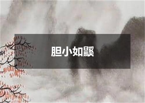 胆小如鼷