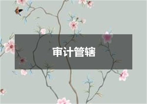 审计管辖