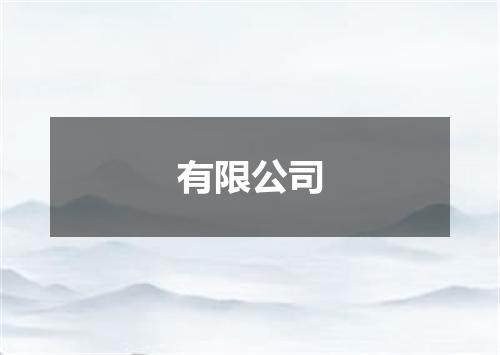 有限公司
