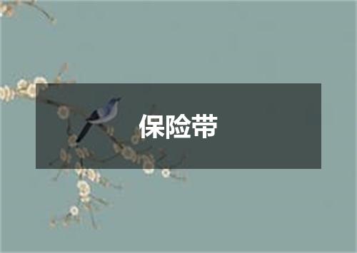 保险带