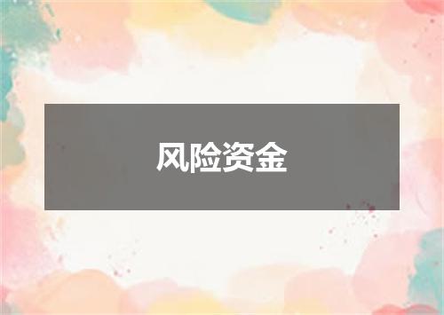 风险资金