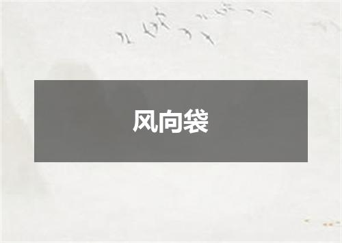 风向袋
