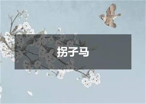 拐子马