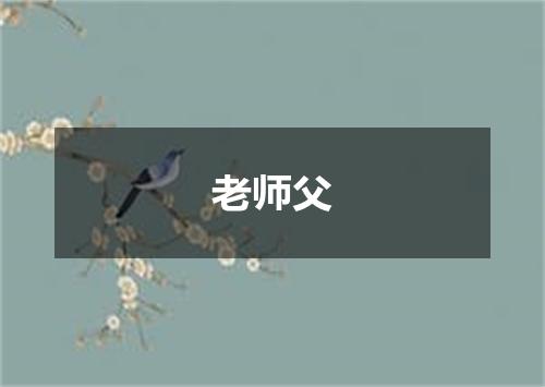 老师父