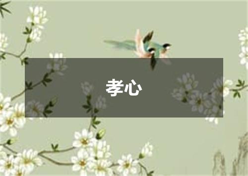 孝心