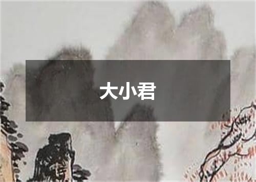 大小君