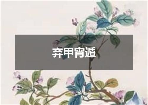 弃甲宵遁