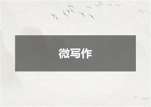 微写作