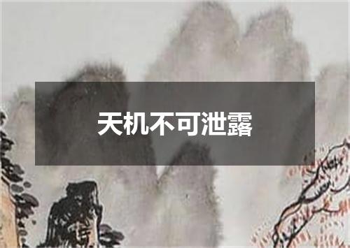 天机不可泄露