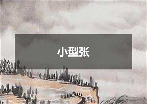 小型张