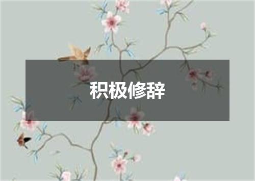 积极修辞