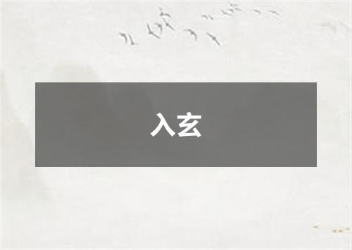 入玄