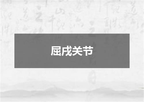 屈戌关节