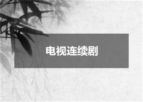 电视连续剧