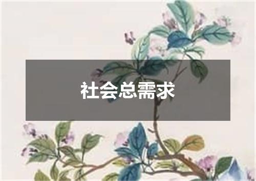 社会总需求
