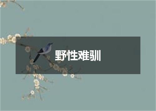 野性难驯