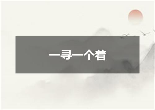 一寻一个着