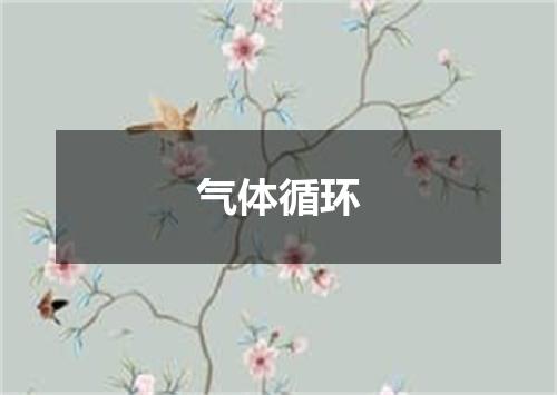 气体循环